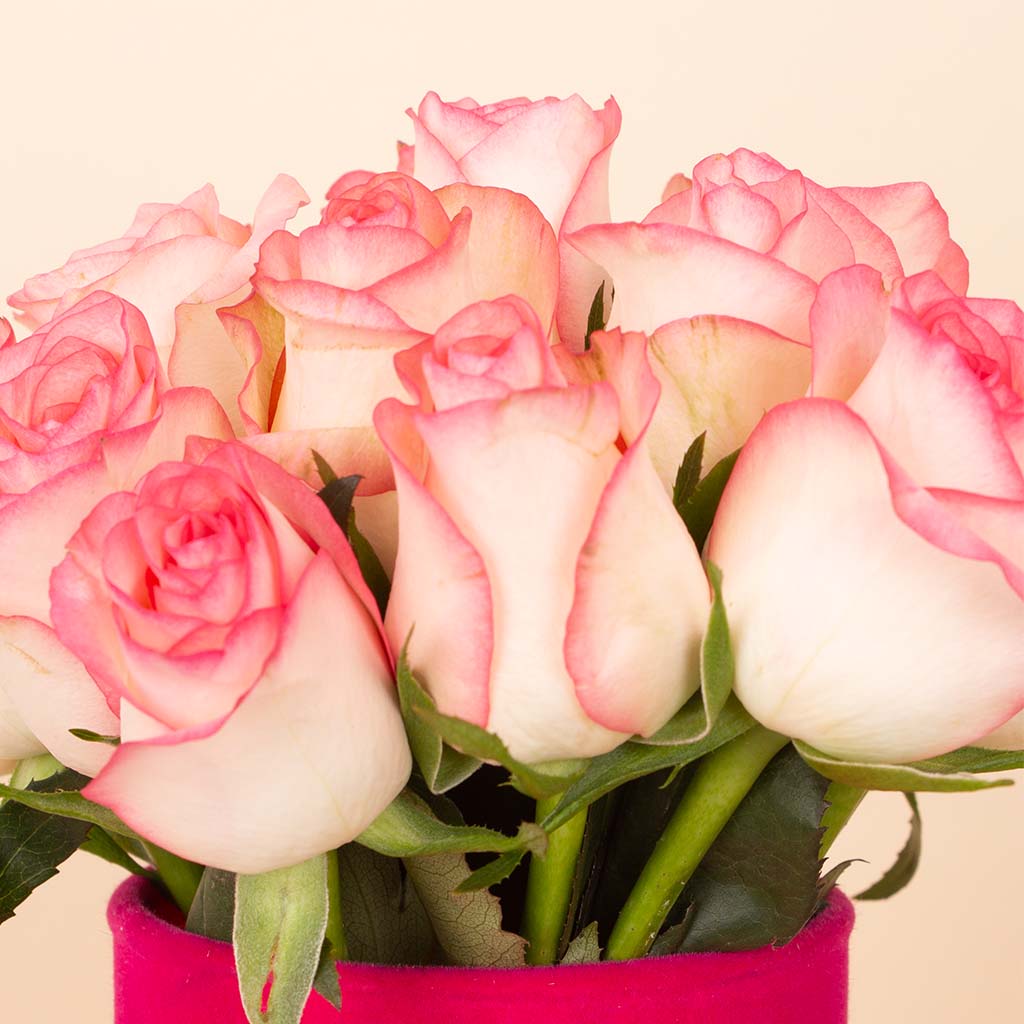 product-image-Jomilia Whisper Vase - 20 Stems