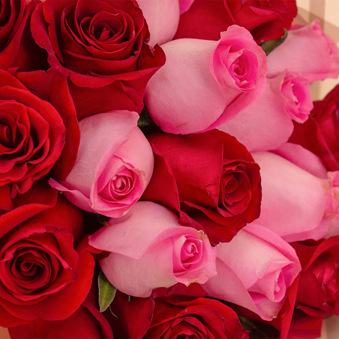 product-image-Flowrista | Red & Pink Roses Bouquet