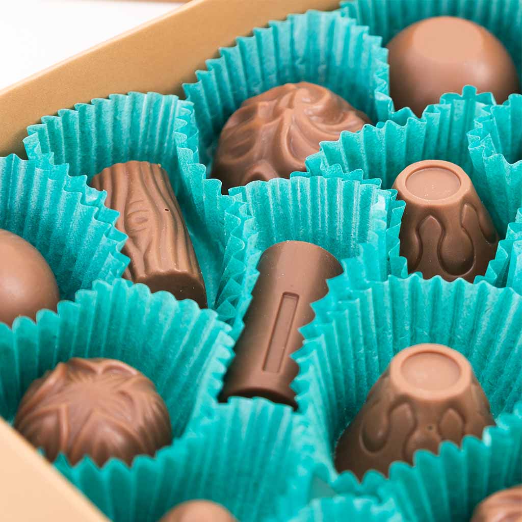 product-image-علبة شوكولاتة هاوس أوف كاكاو الفاخرة 16 قطعة
