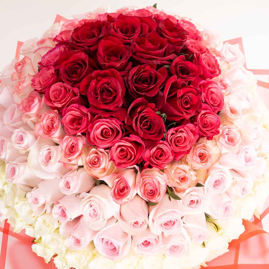 product-image-Romantic Spectrum Bouquet - 150 Roses