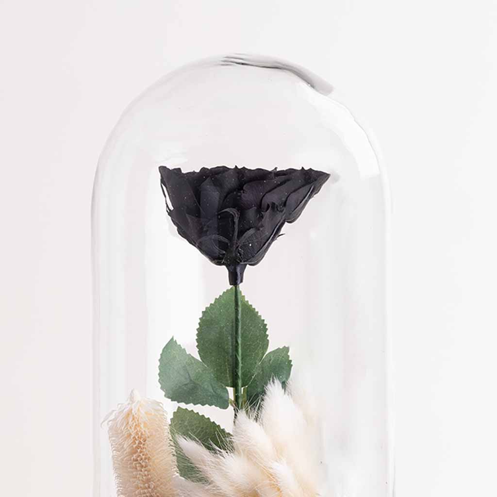 product-image-Black Eternity Rose