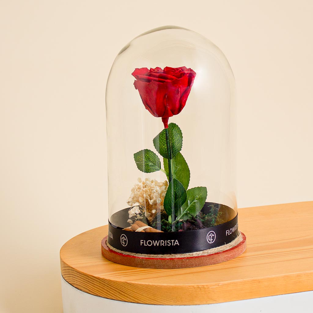 Flowrista Online Flowers Shop وردة الخلود حمراء