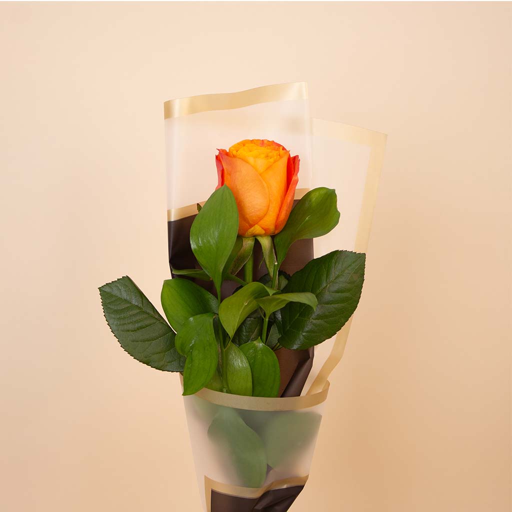 product-image-باقة ورد برتقالي مفردة