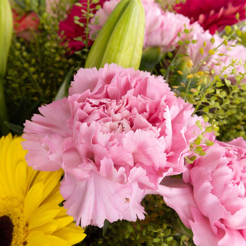 product-image-Joyful Blossom Mix