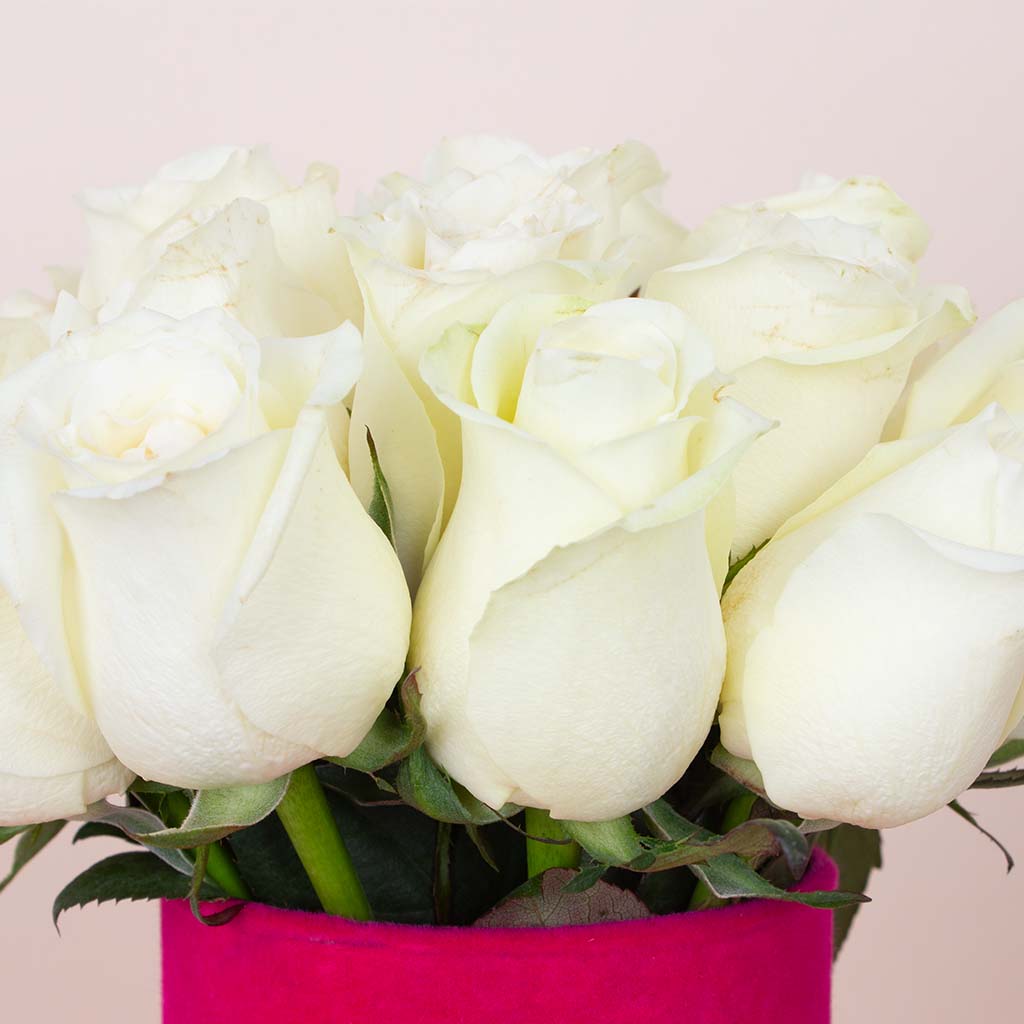 product-image-White Whisper Vase - 20 Stems