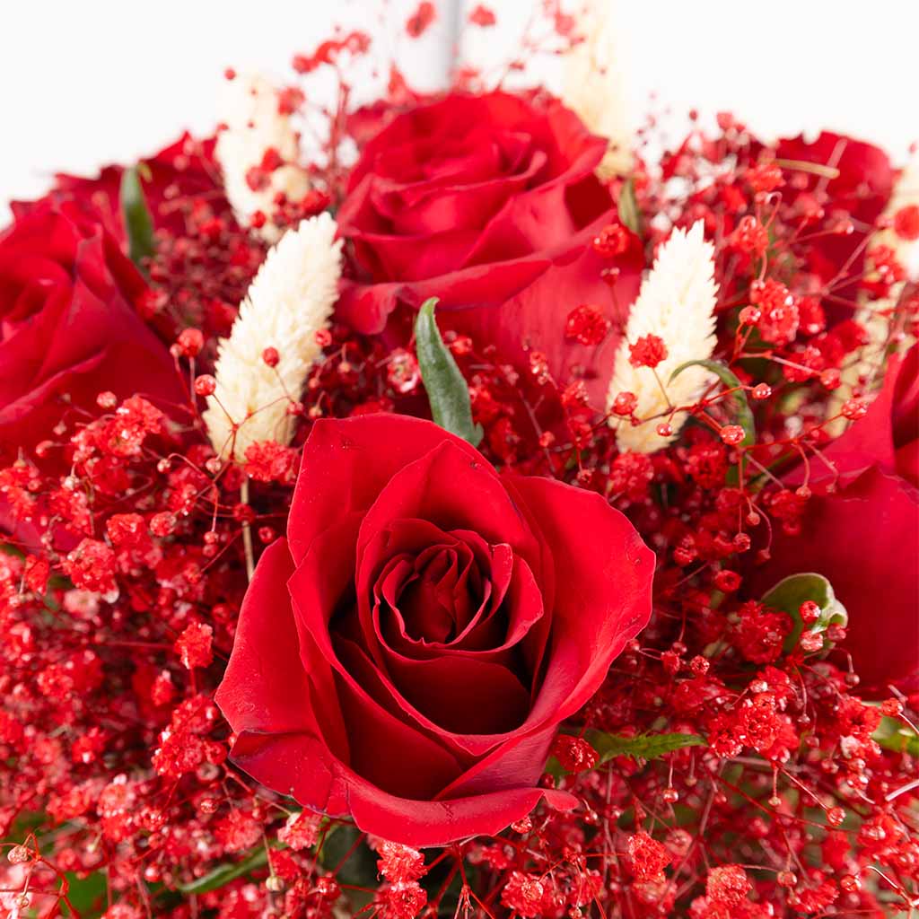 product-image-مزهرية سكارليت إير