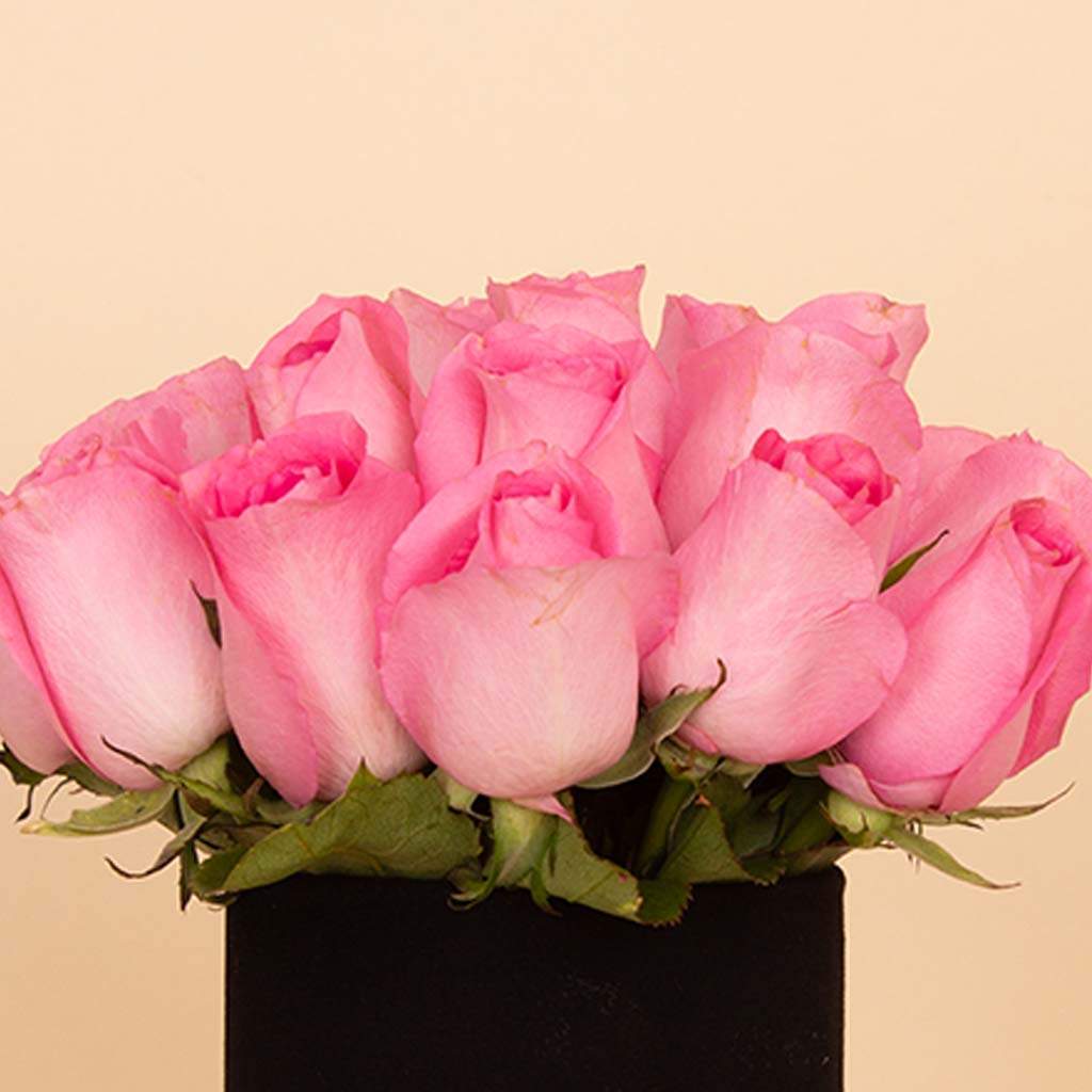 product-image-Blush Vase - 20 Pink Roses