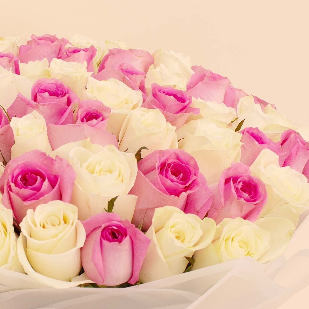 product-image-Flowrista | Grand Bouquet of 100 Pink & White Roses