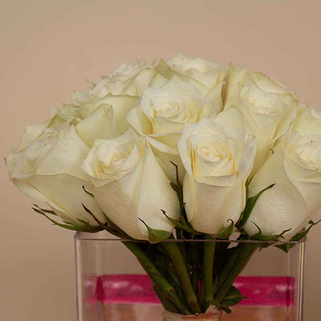 product-image-Mother’s Golden Shield –20 White Flowers Vase