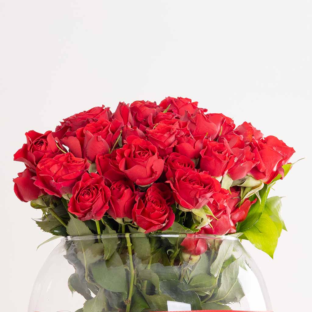 product-image-مزهرية زهور سكارليت بيبي بلومز