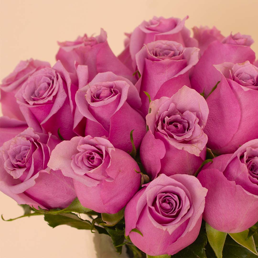 product-image-Swiza Chocolate Box 500g & Purple Roses Vase