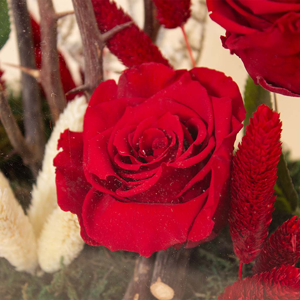 product-image-Red Eternity Roses  Box - 6 Roses