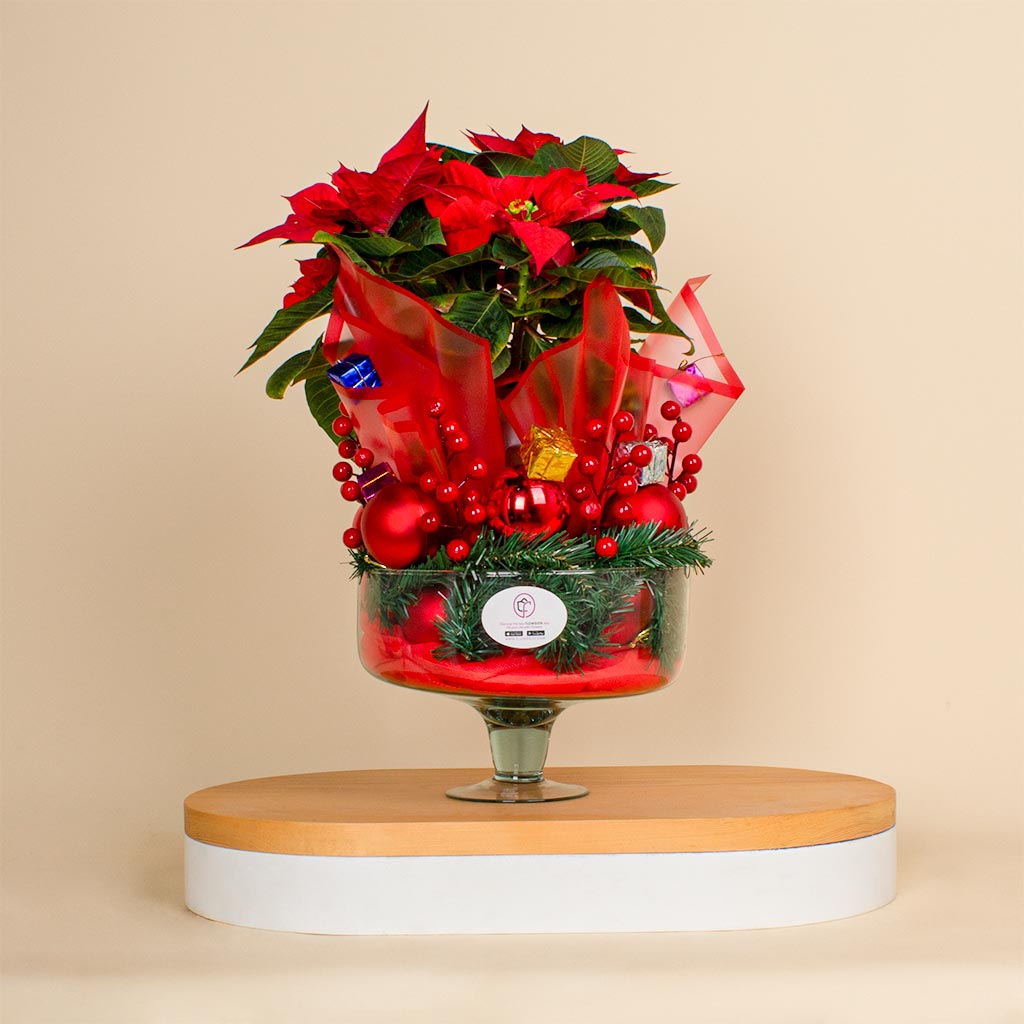 product-image-New Year Elegant Poinsettia Vase