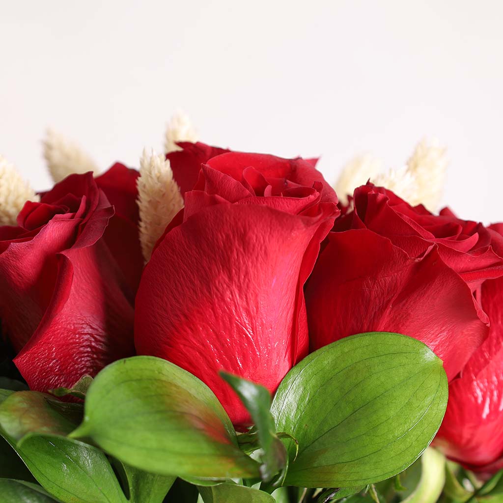 product-image-مزهرية هارتلاين روج