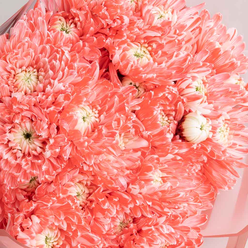 product-image-Sunlit Chrysanthemum