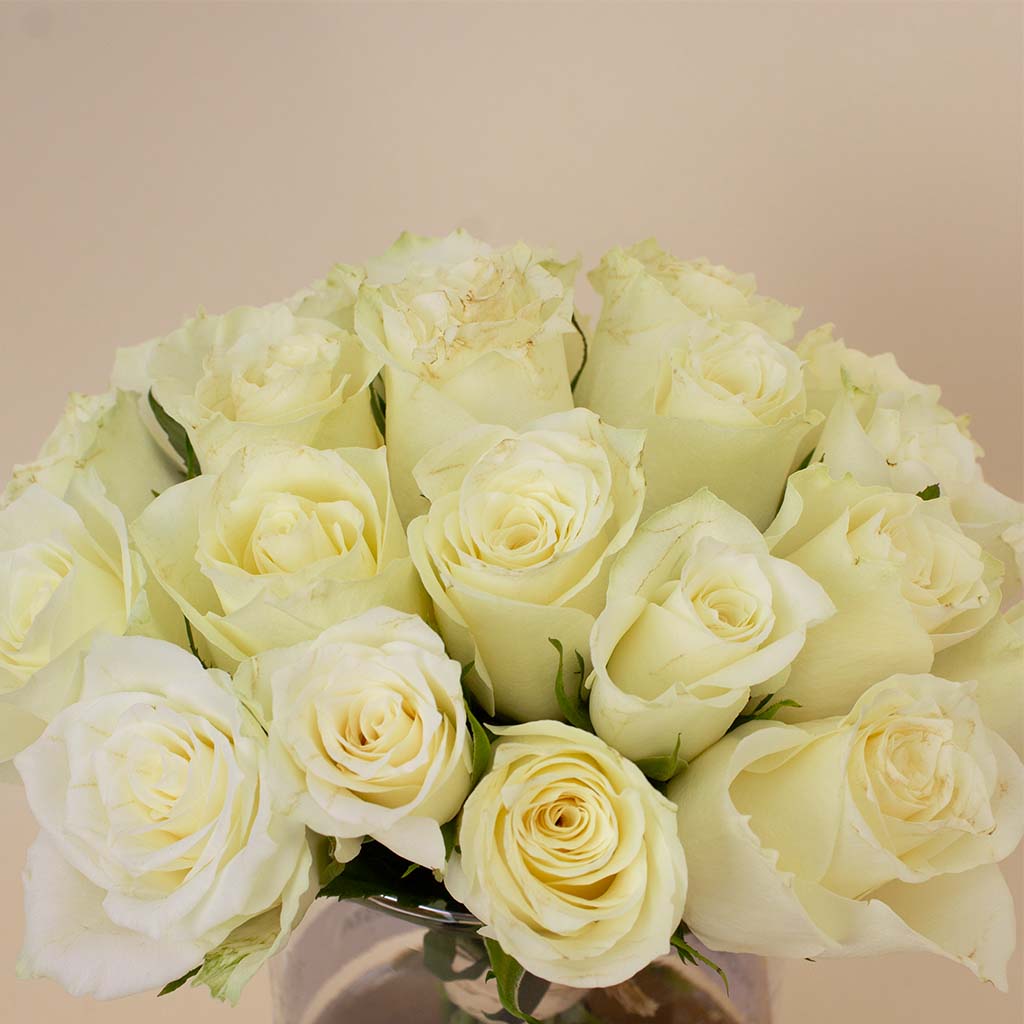 product-image-Alamki Velda Havan Bag & White Roses Vase
