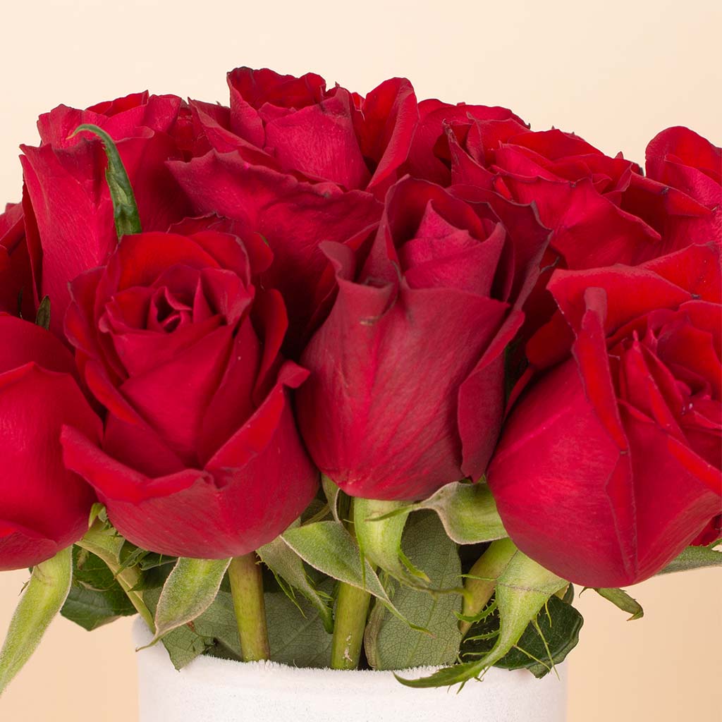 product-image-Red Signature Vase - 20 Stems