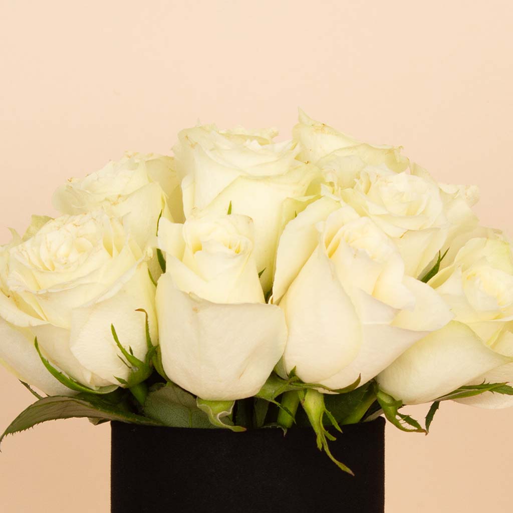 product-image-White Serenity Vase - 20 Roses