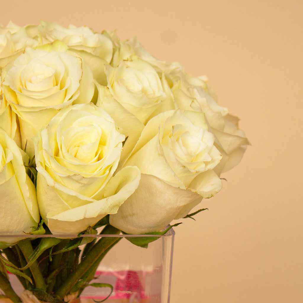 product-image-Flowrista | Cube Vase with 20 White Roses