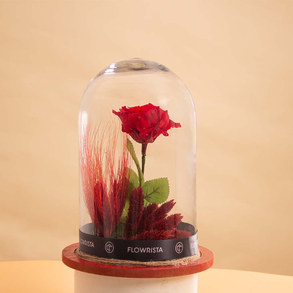 Flowrista Online Flowers Shop  وردة الخلود حجم كبير