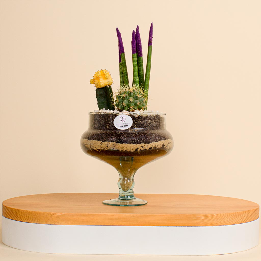 Flowrista Online Flowers Shop Natural Harmony Vase