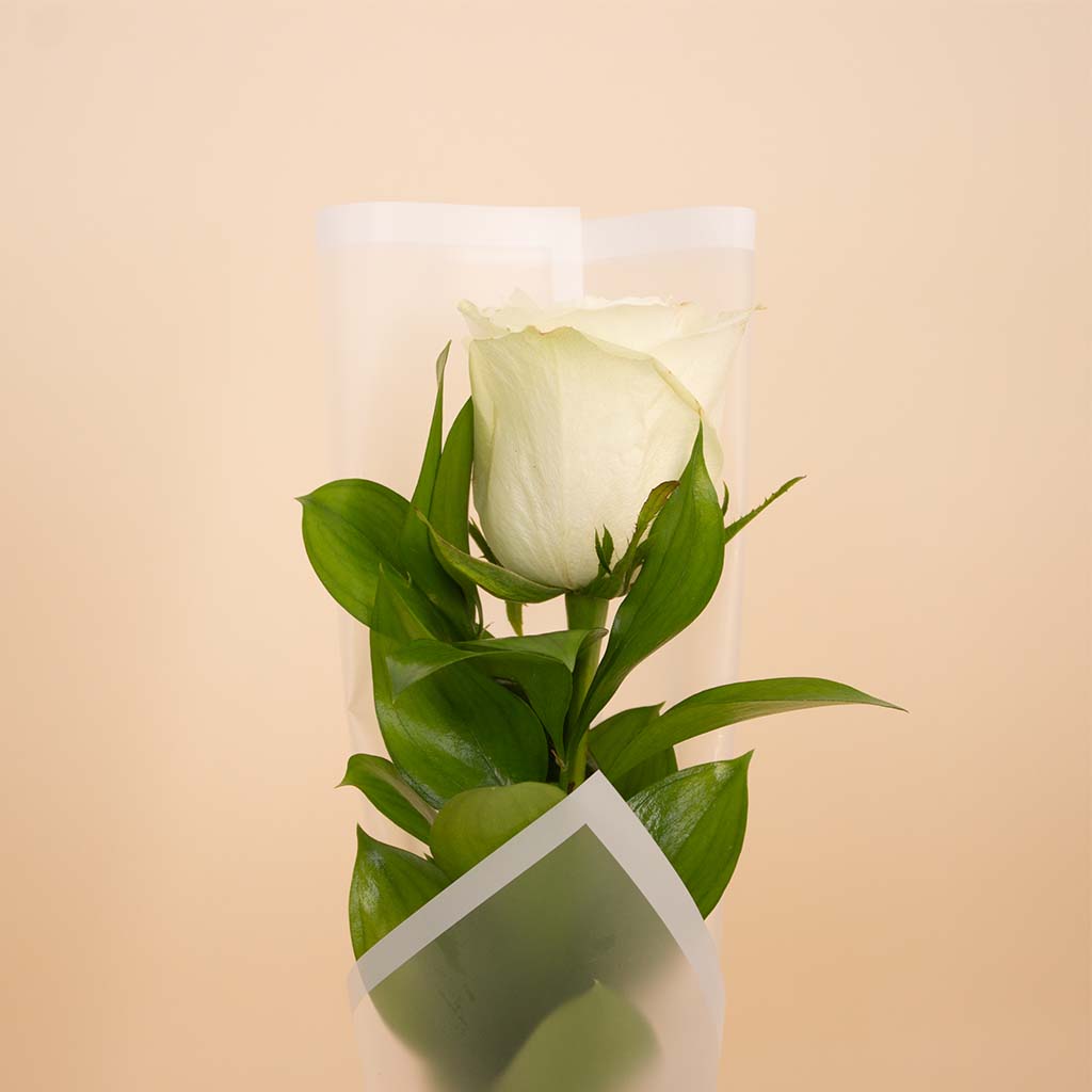 product-image-Single White Rose Bouquet