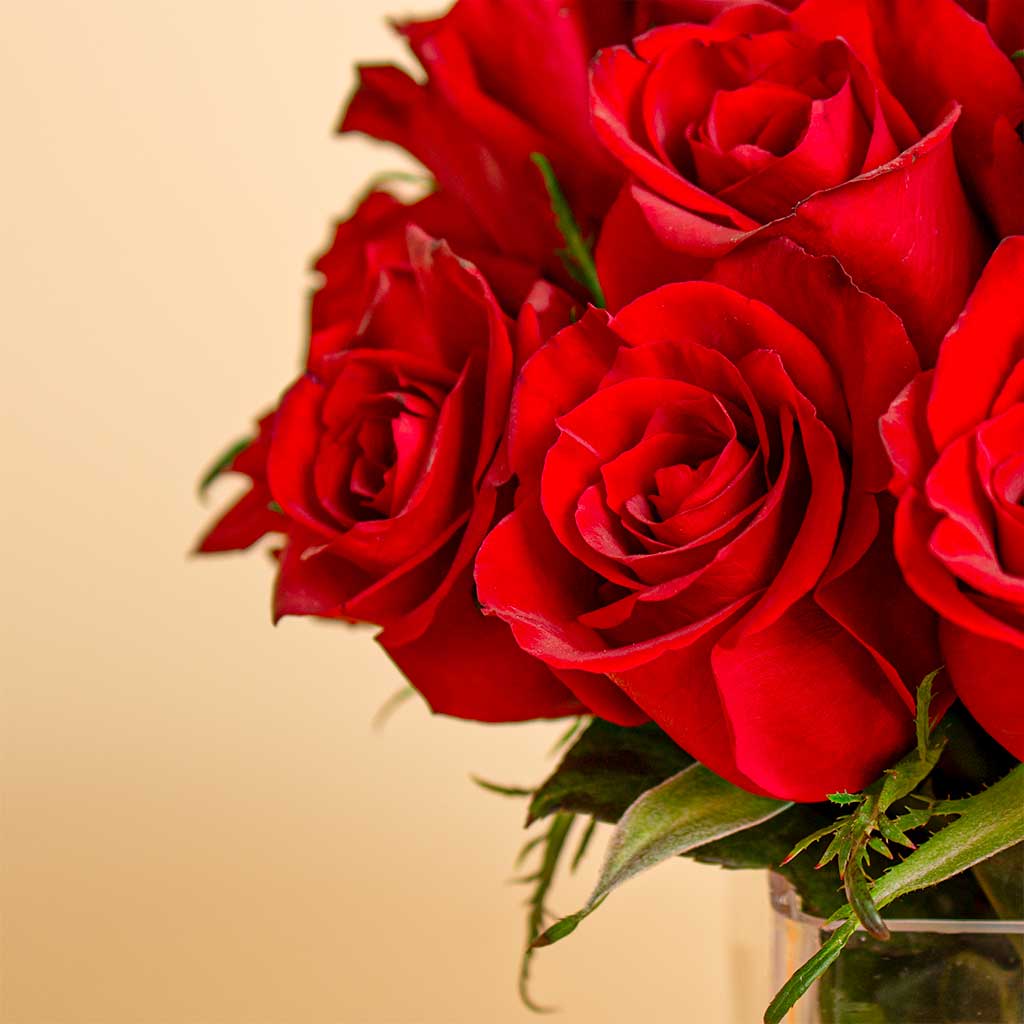 product-image-Nuit Fragrances Dulce de Leche | 20 red roses vase