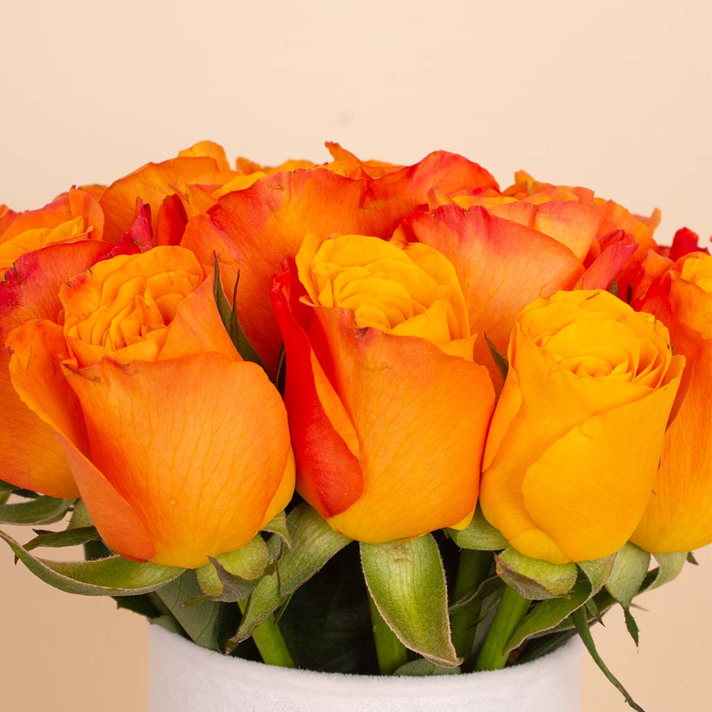 product-image-Orange Signature Vase - 20 Stems