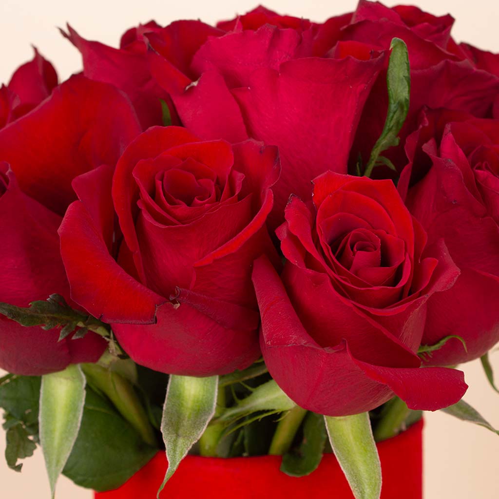 product-image-Red Glow Vase - 20 Stems
