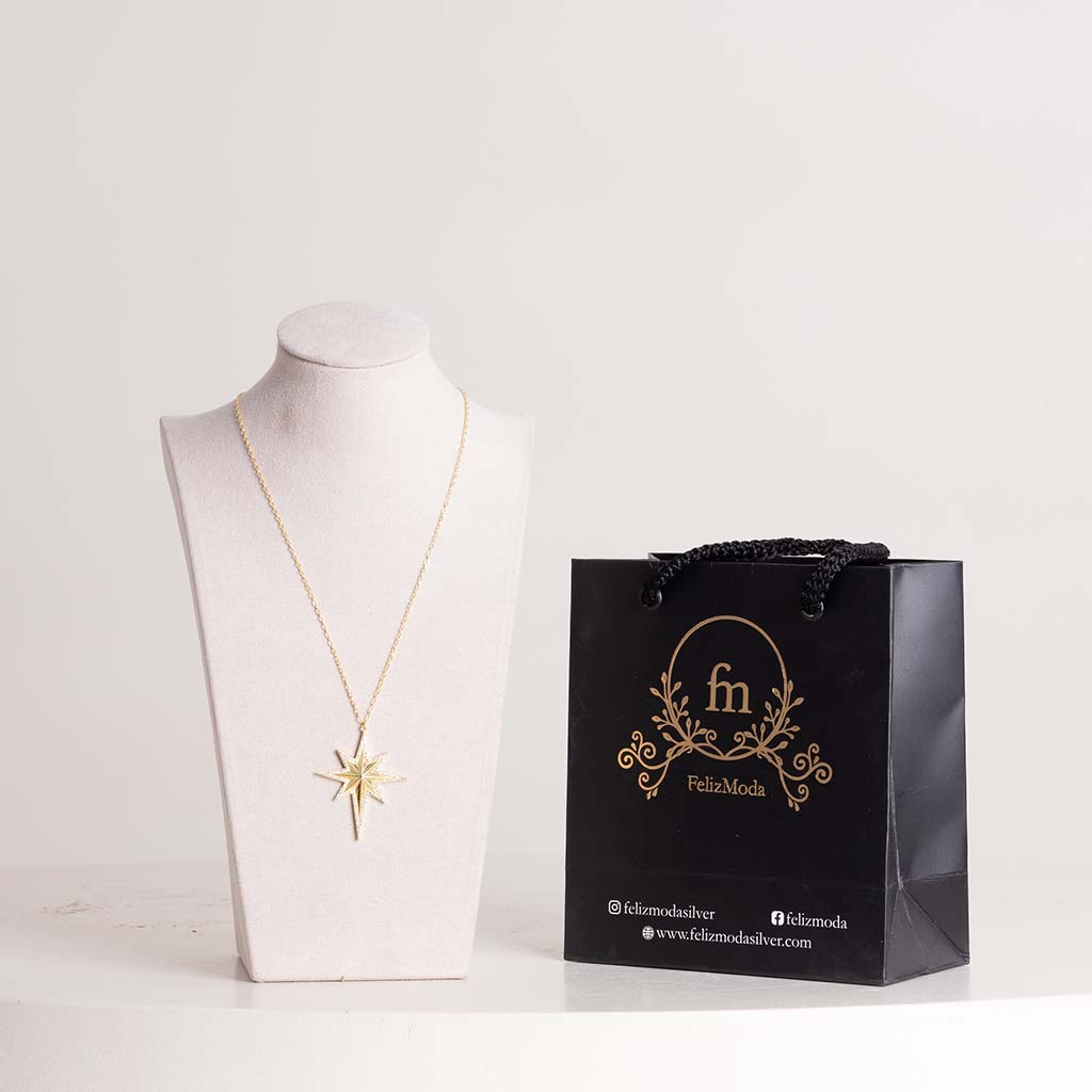 product-image-قلادة فيليز مودا نجمة الشمال من الزركون - فضة مطلية بالذهب