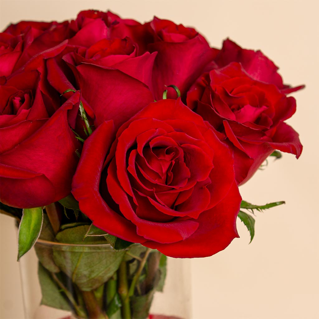 product-image-Patchi Chocolates | Love 15 Red Rose Vase