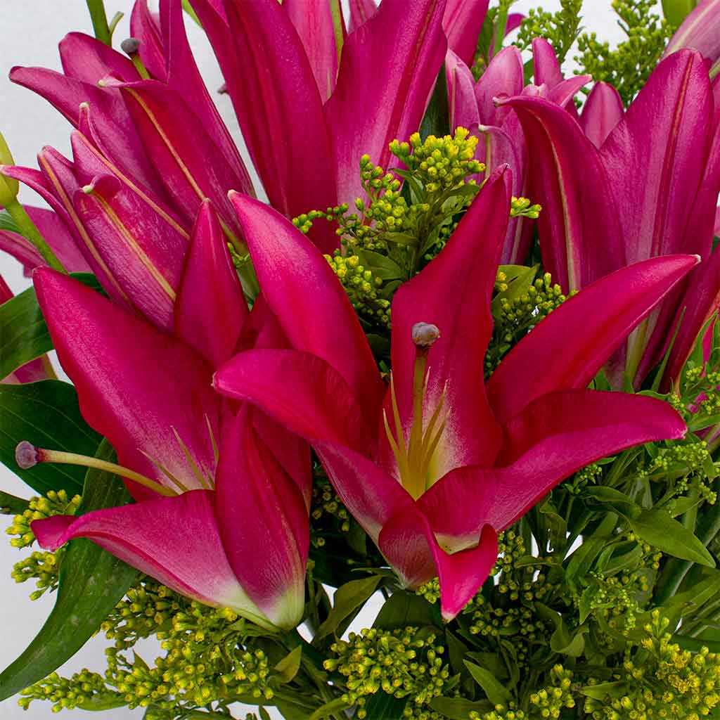 product-image-Pink Lily Vase