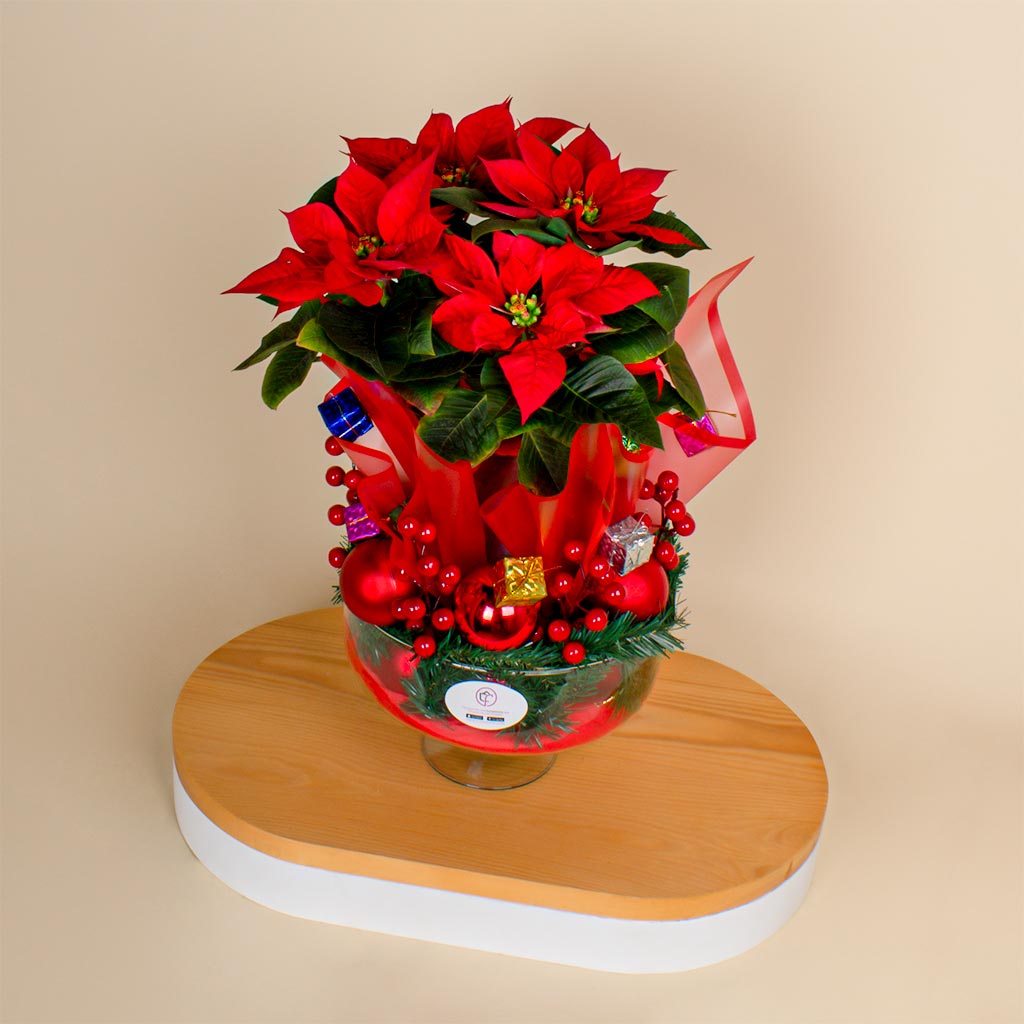 product-image-New Year Elegant Poinsettia Vase