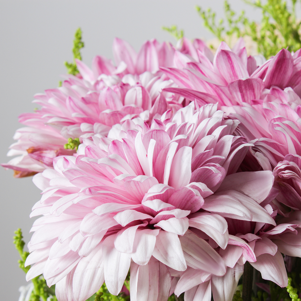product-image-باقة زهور رومانسية باللونين الأبيض والأرجواني