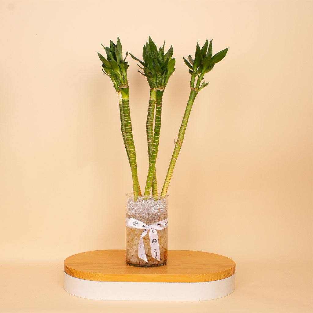 product-image-Harmony Lotus Bamboo Vase