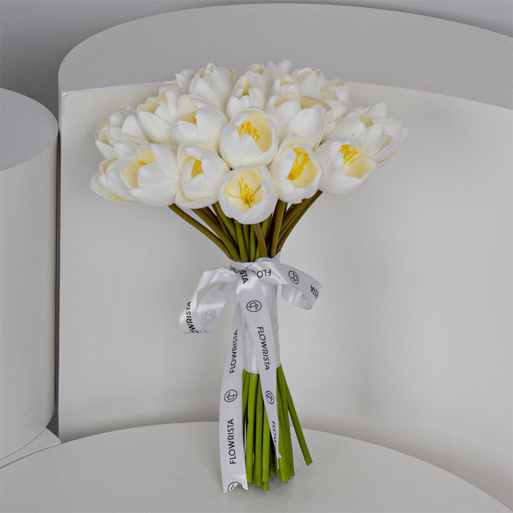 product-image-Jumbo Tulip jerb
