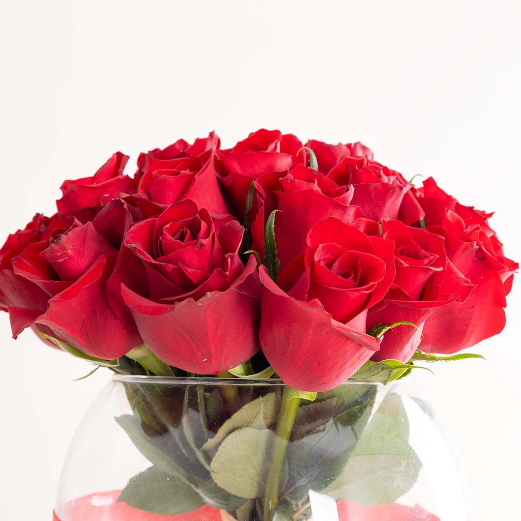 product-image-Red Roses Vase - 20 Stems