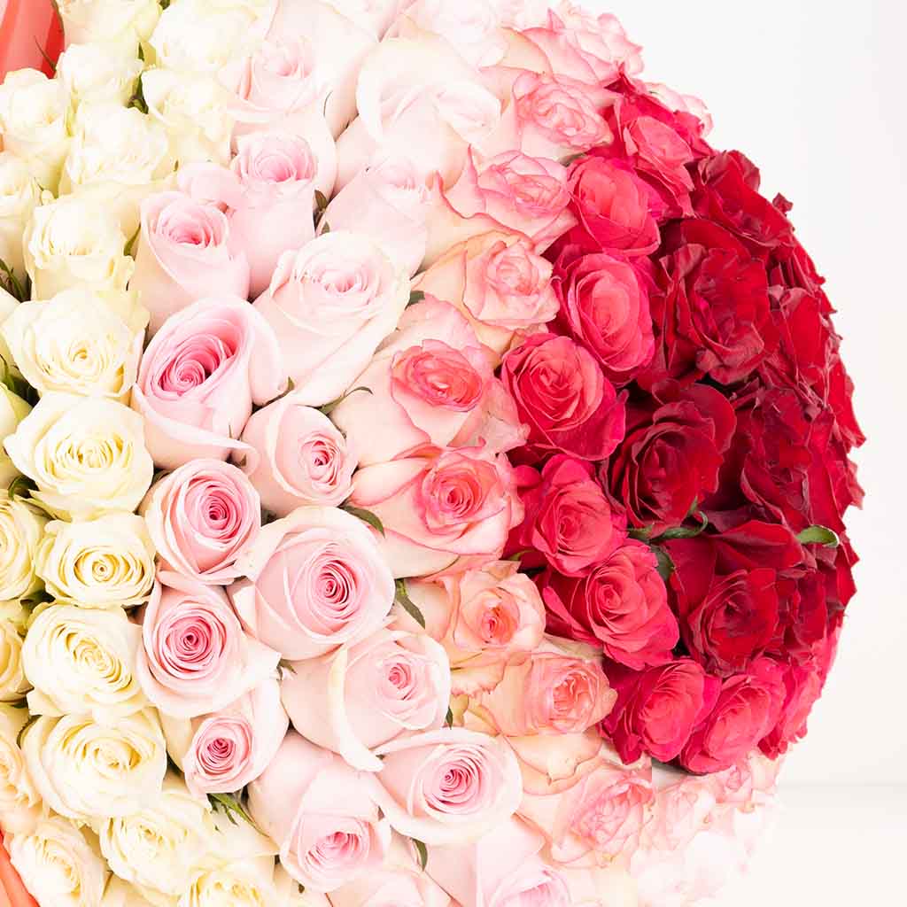 product-image-Romantic Spectrum Bouquet - 150 Roses