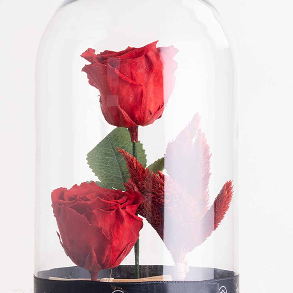 product-image-وردات الخلود الحمراء