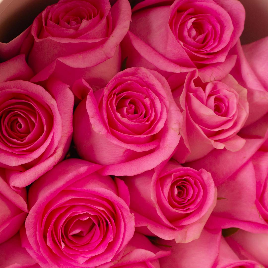 product-image-Swiza Chocolate Box 500g & 15 Roses Boutique