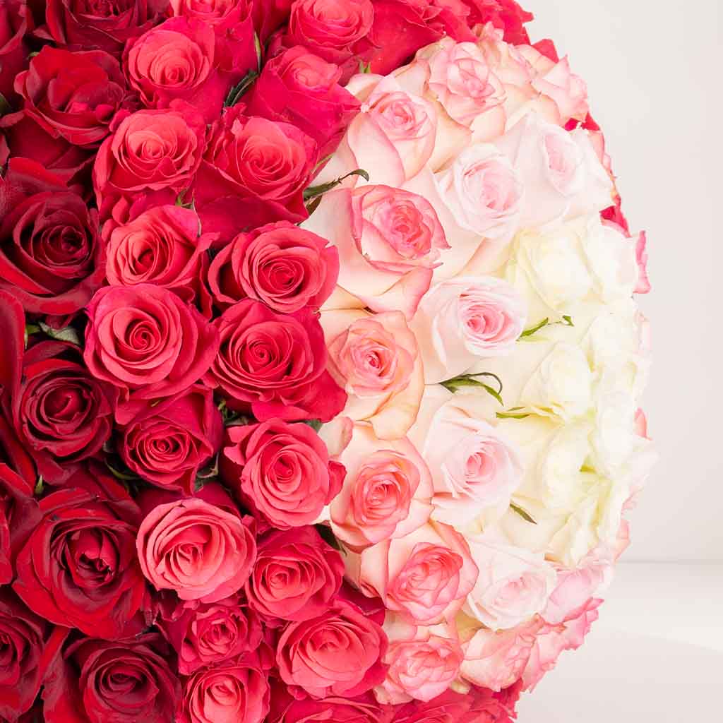 product-image-Gallery Grand Bouquet - 150 Roses