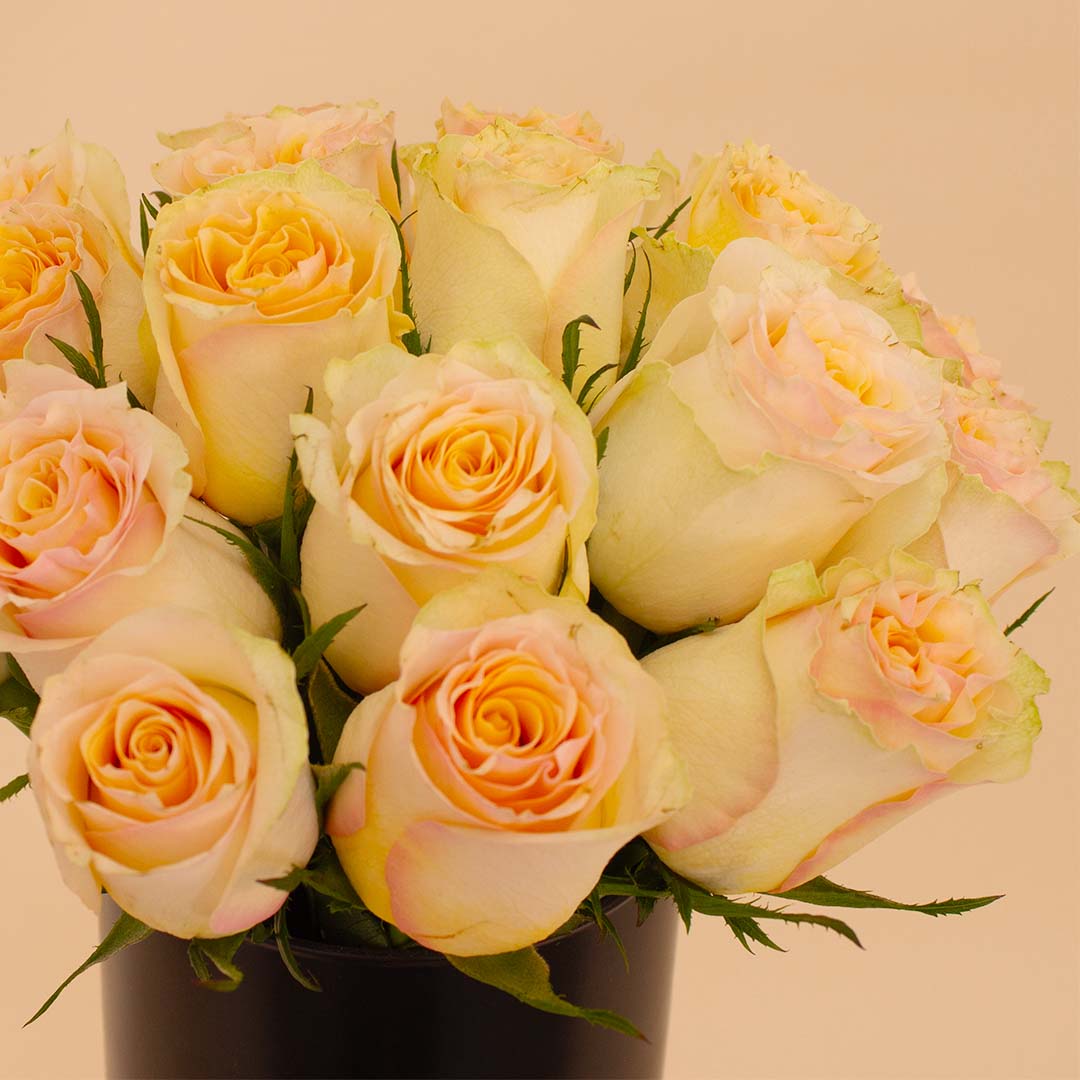 product-image-Flowrista | Simon Roses Vase – 20 Stems