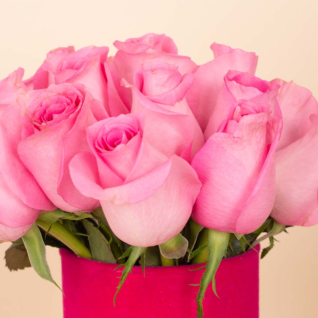 product-image-Pink Whisper Vase - 20 Stems