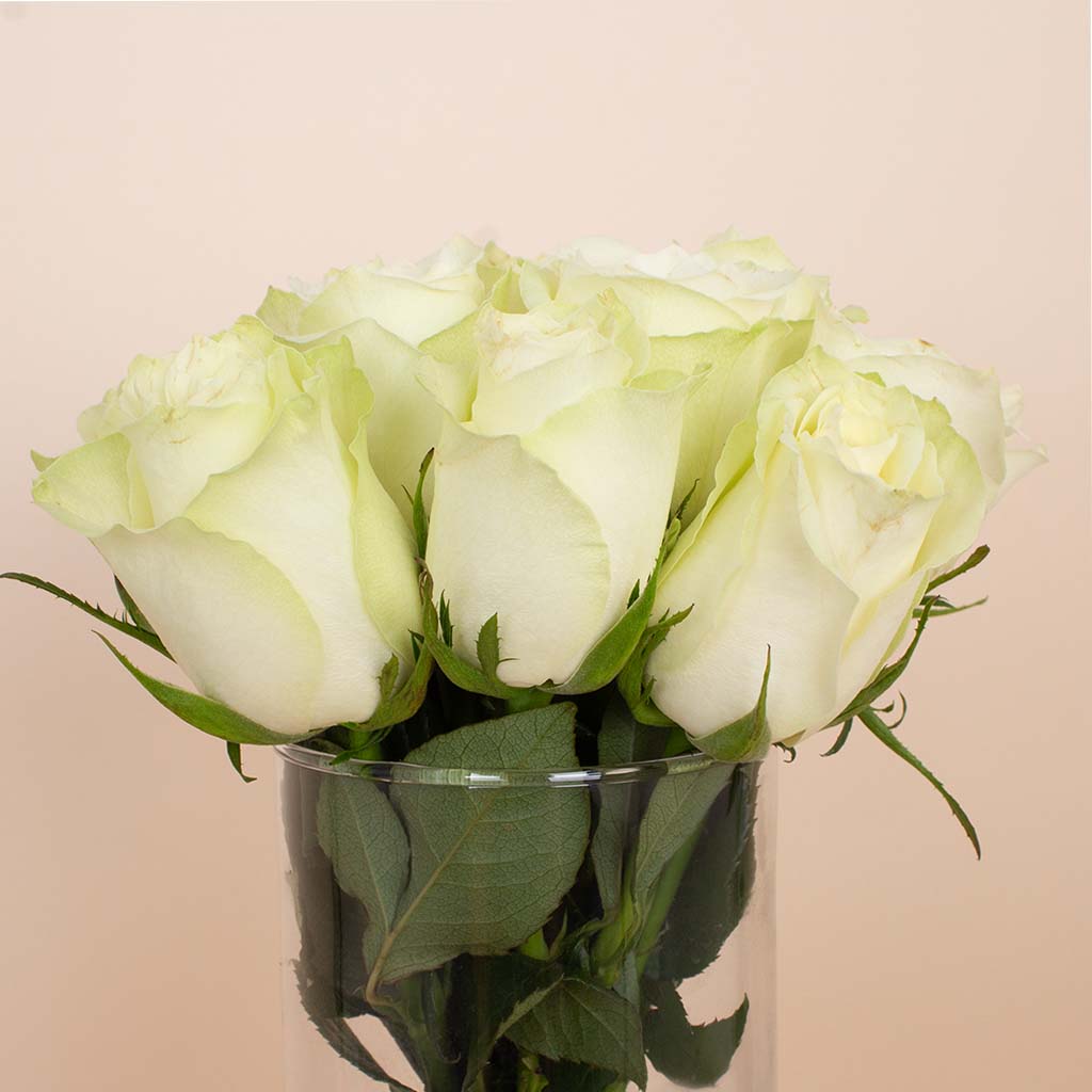 product-image- Chocolate Factory Bonbon 100 g & White Roses Vase 