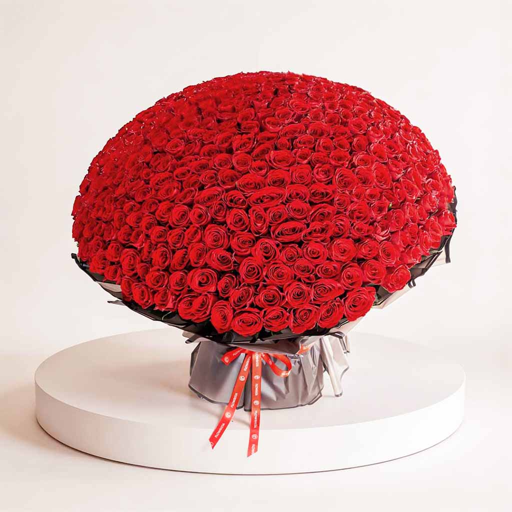 Flowrista Online Flowers Shop 500 زهرة حمراء بوكية 