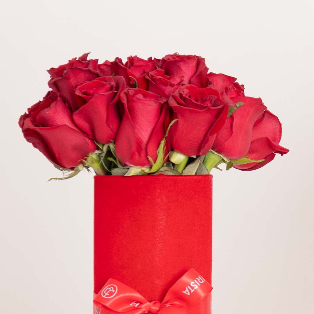 product-image-صندوق ريد ميوز
