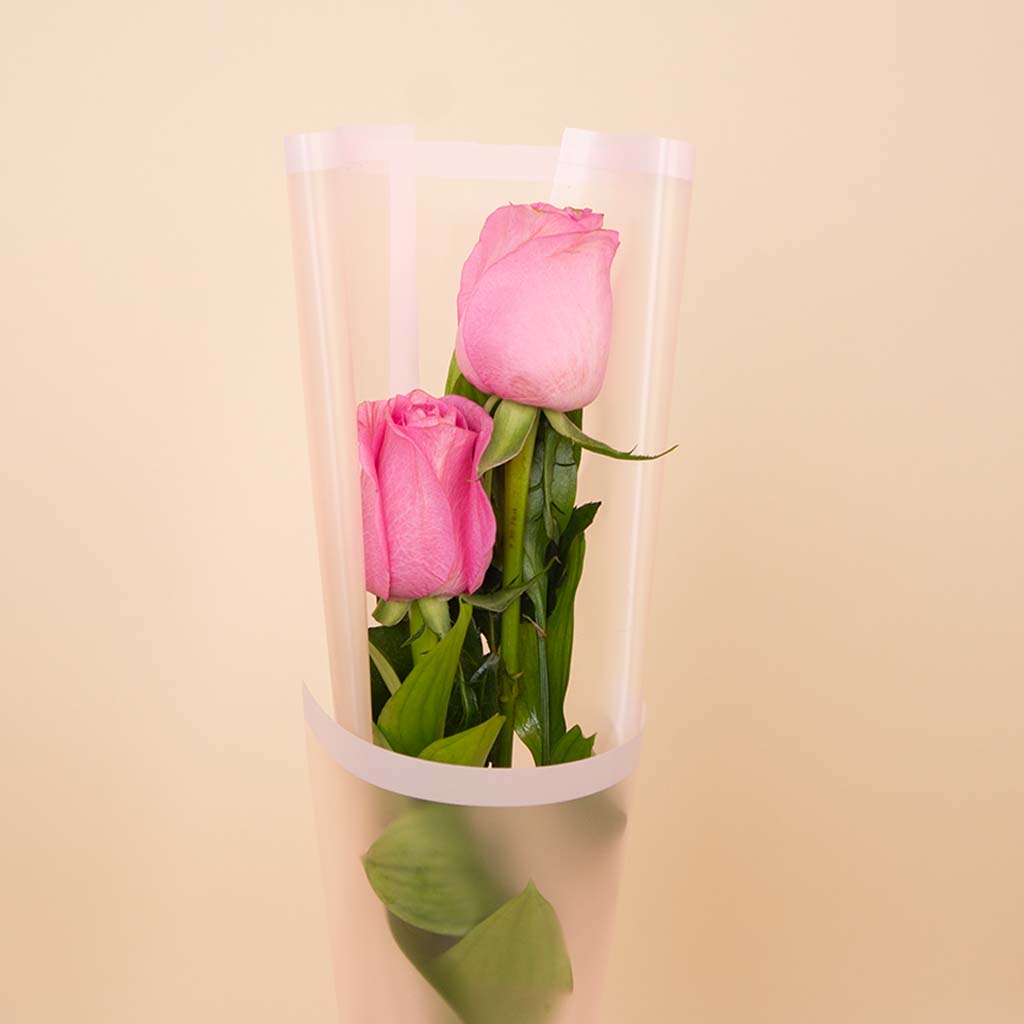 product-image-Duo Pink Roses Bouquet