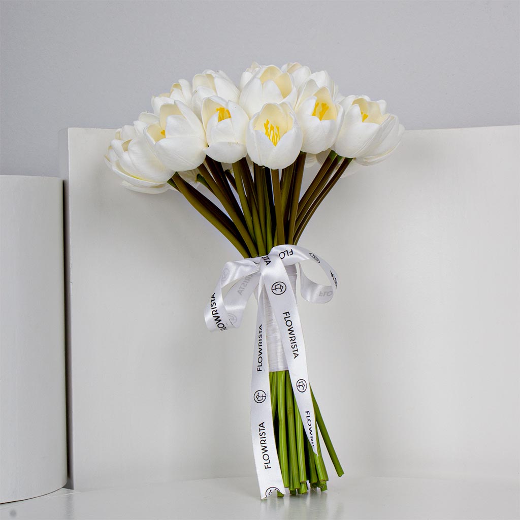 product-image-Jumbo Tulip jerb