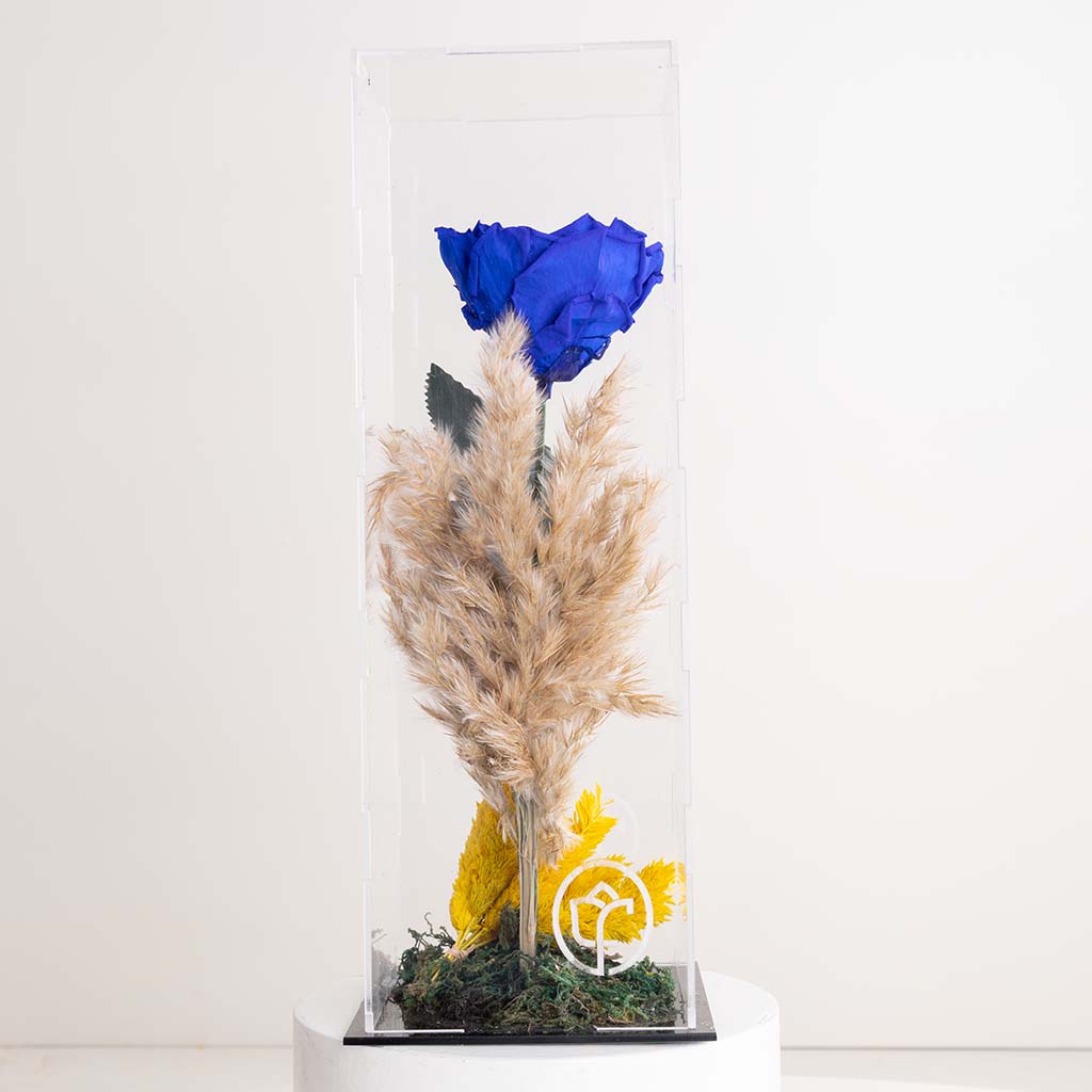 Flowrista Online Flowers Shop وردة الخلود الزرقاء