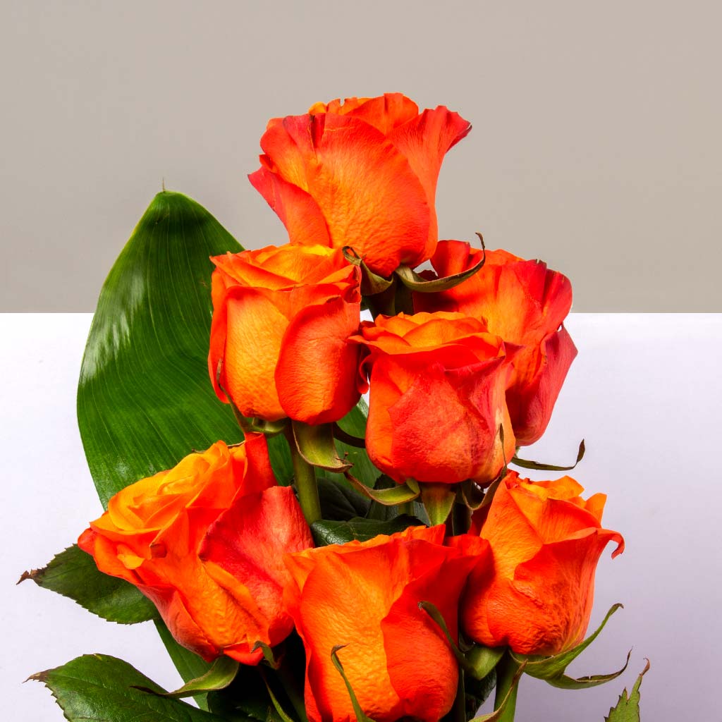 product-image-Flowrista | Orange Roses Vase
